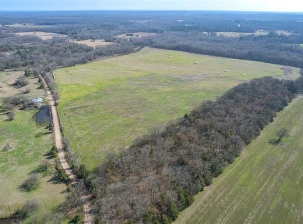 80ac Lot2 County Road 2376, Winnsboro, TX 75494