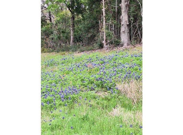 FM 3371 Fm-3371 Path, Thornton, TX 76687