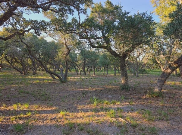 1861 Monkey Rd, ROCKPORT, TX 78382