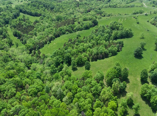 112 Acres Keefer Road, Corinth, KY 41010