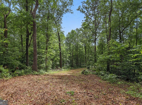 1323 Seven Forks, Martin, GA 30557
