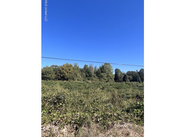 Lucius Taylor Road, Como, MS 38619