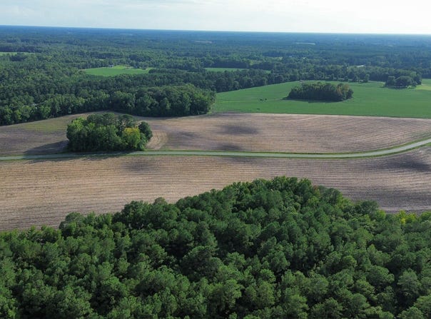 Blazing Trail Rd lot: 4, Timmonsville, SC 29532