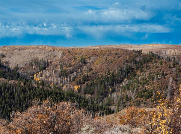 TBD County Road 249, Rifle, CO 81650