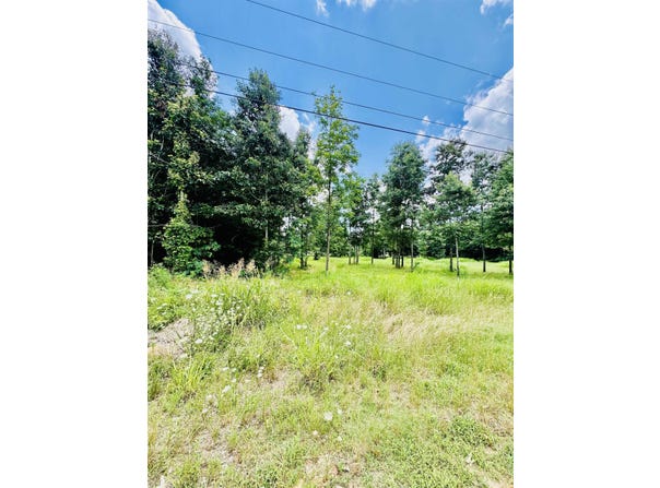 Pride Estates Rd, Tuscumbia, AL 35674