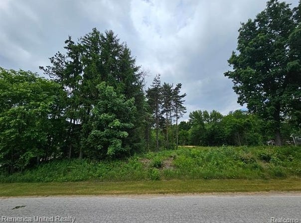 10512 OAK FOREST Drive, Green Oak Twp, MI 48178