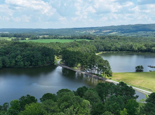 411 DR JENKINS LANE, ALTOONA, AL 35952