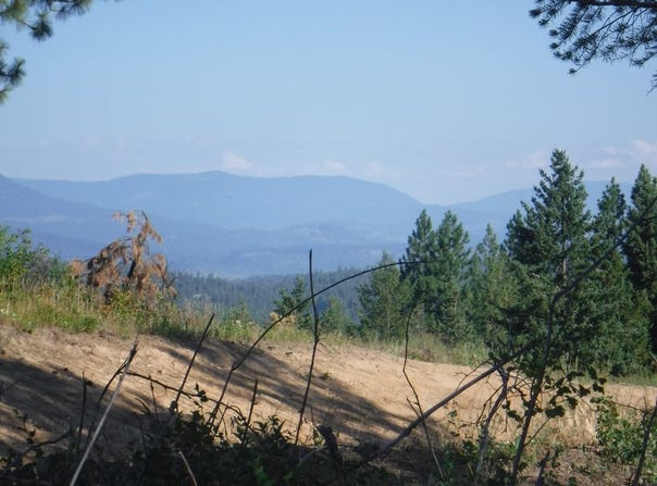 Lot 4 Moose Ridge Way, Loon Lake, WA 99148