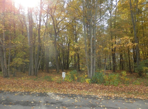 4 Harlan Drive, Watervliet, MI 49098
