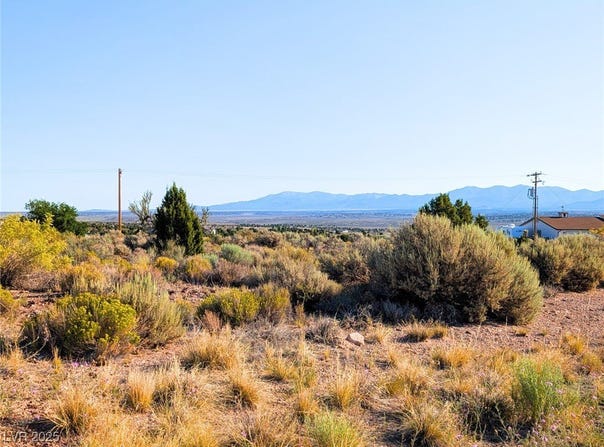Bartolo (1 Ac)-APN 001-240-46, Pioche, NV 89043