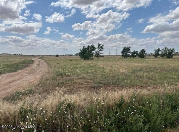 10412 Private Rd 5860, Shallowater, TX 79363