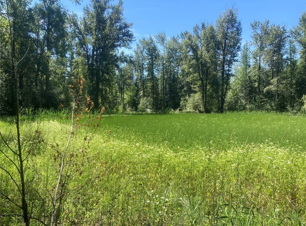 2931 Witty Lane, Columbia Falls, MT 59912