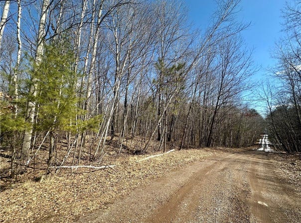 9.55+/- Acres Lot 10/11 290th Avenue, Holcombe, WI 54745