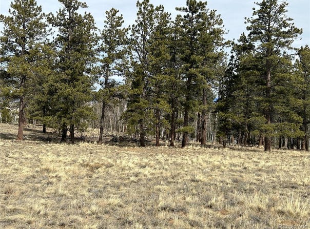 788 Wagon Wheel Road, Hartsel, CO 80449