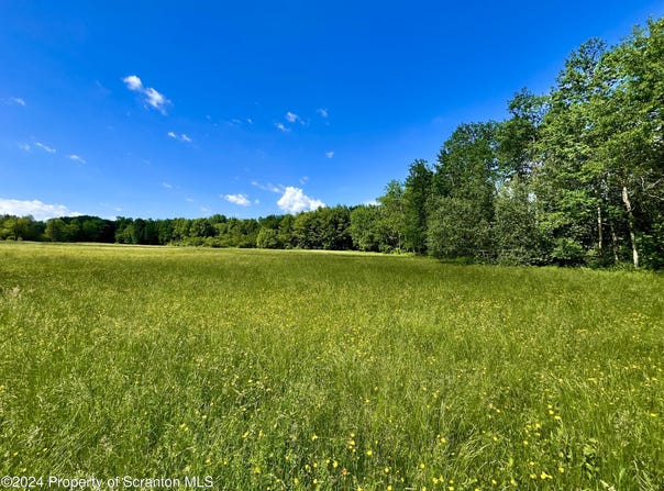 9755 State Route 171, Union Dale, PA 18470