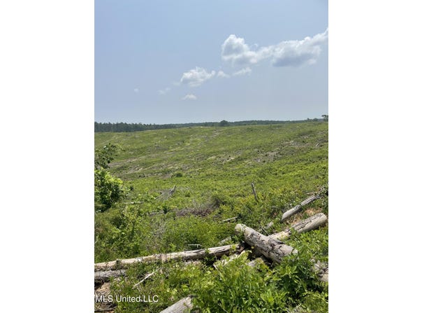 Co Rd 143, Carrollton, MS 38917