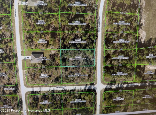 Honeycreeper Road, Brooksville, FL 34614