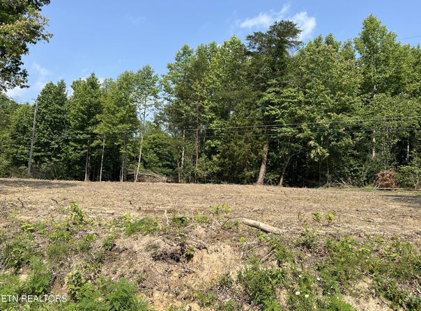 Ditney Trail Tr, Pioneer, TN 37847
