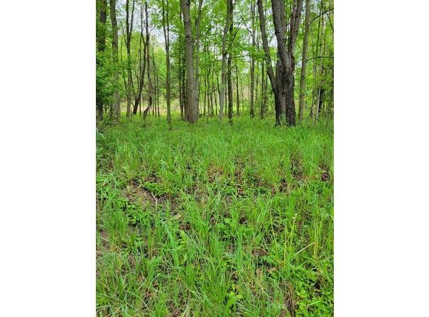 RT 68, Sligo, PA 16255