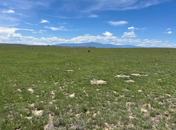 Turkey Ridge Ranch lot: 123E, Walsenburg, CO 81089