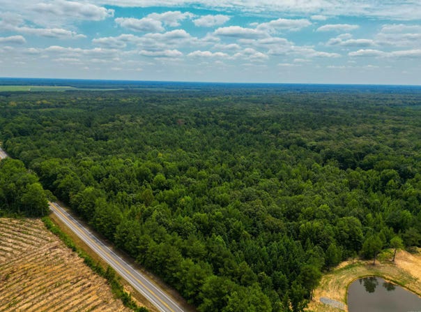 Monticello, AR 71655