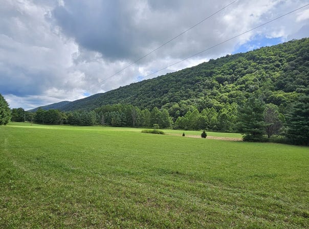 Upper Back Creek Road, Mill Gap, VA 24465