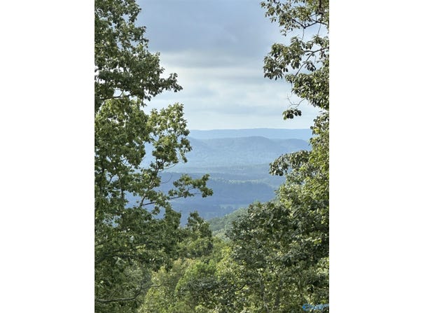 195 County Road 844, Mentone, AL 35984