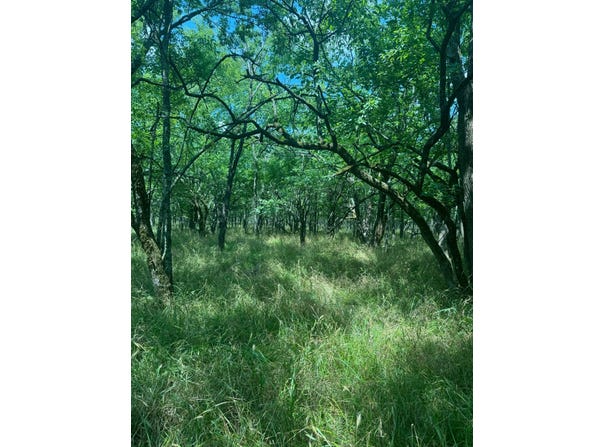 Black Land Road, Haworth, OK 74740