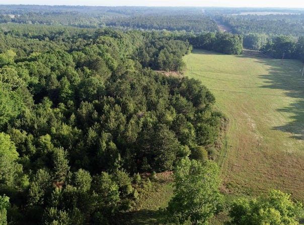 Joe Reeves Road, Castleberry, AL 36432