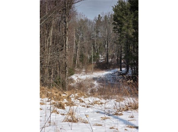 Bennett Lane, Sparta, NC 28627