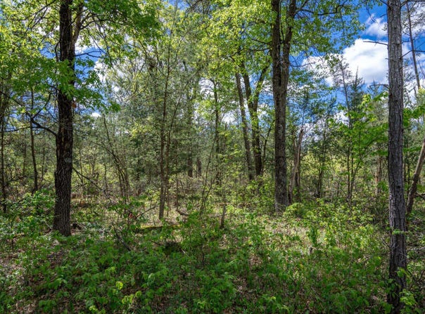 Lot 29 Beach Drive, New Lisbon, WI 53950
