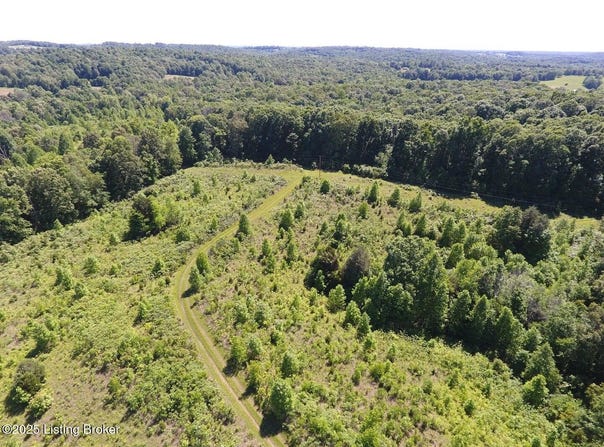 0 Vic Young Rd, Olaton, KY 42361