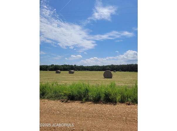LOT 3 CO RD 191 ARROW AIRPARK SUBD., Flemington, MO 65650