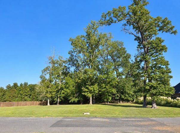 1119 BEAR Creek, Haughton, LA 71037