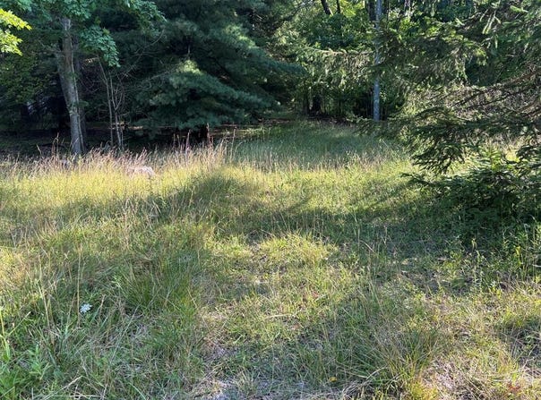 177 Brumbaugh Lane, Seneca, PA 16346