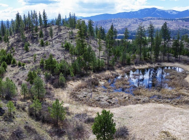 7XX OLD ARDEN HWY, COLVILLE, WA 99114