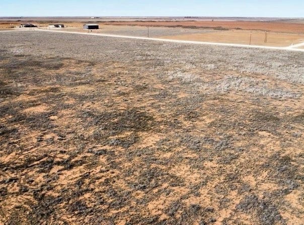Lot 8 County Road 634, Wellman, TX 79378