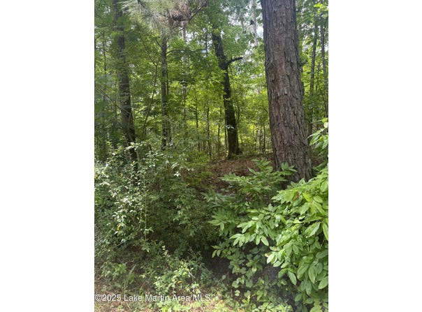 Old Dark Rd, Alexander City, AL 35010