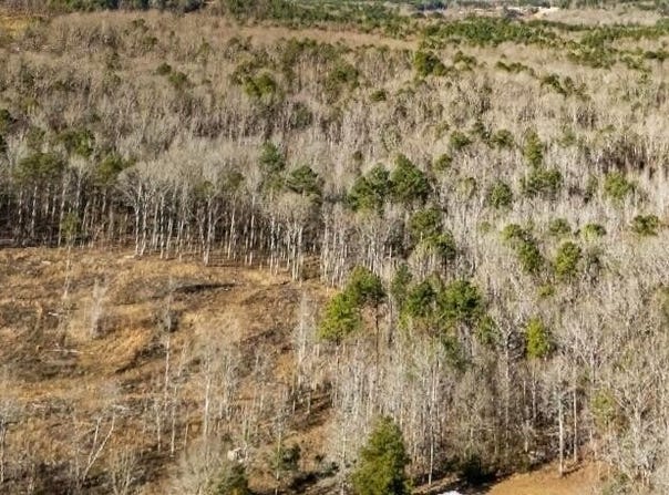 CO RD 69, Guin, AL 35563