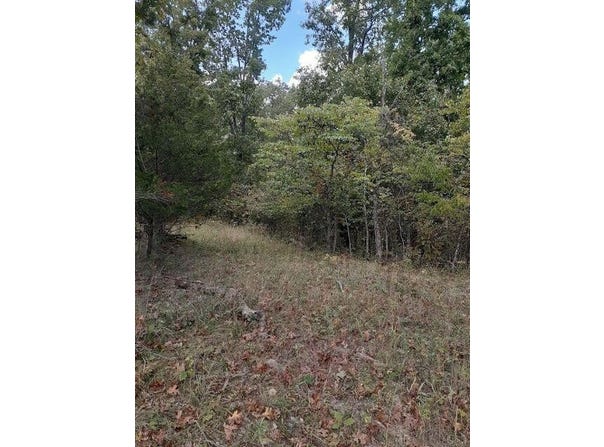 Lot 15 Apple Lane, Cynthiana, KY 41031