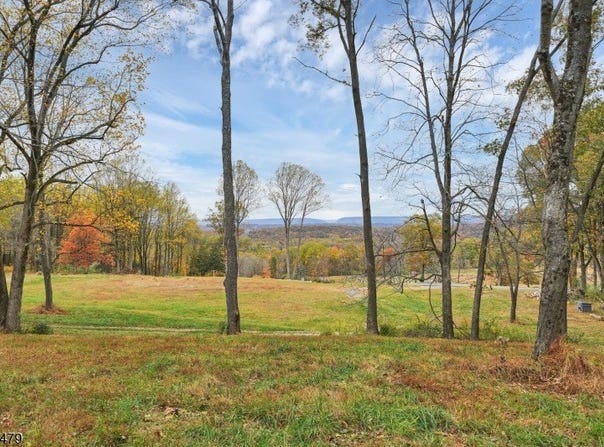 83 Danville Mountain Rd, Liberty Twp., NJ 07838-2107