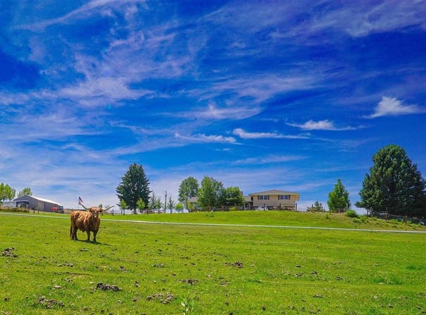 4132 Road 35 1/2, Greybull, WY 82426