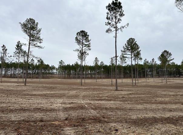 00/Lot 39 Laughlin Loop, Aiken, SC 29805