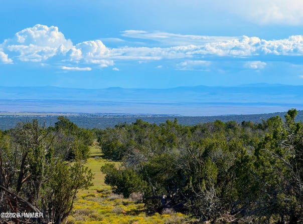 Co Rd N7480 40 Acres, St. Johns, AZ 85936