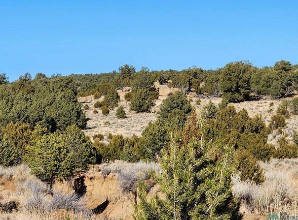 Ponderosa Ranches Trail Road, Pie Town, NM 87827