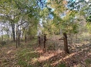 0 County Road 37100, Paris, TX 75460