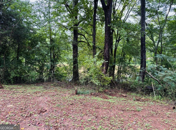 0 Southern Shores Road, Jackson, GA 30233