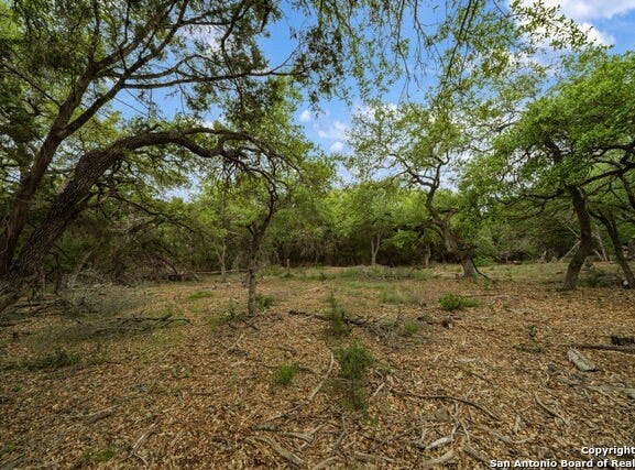 25139 Callaway, San Antonio, TX 78260