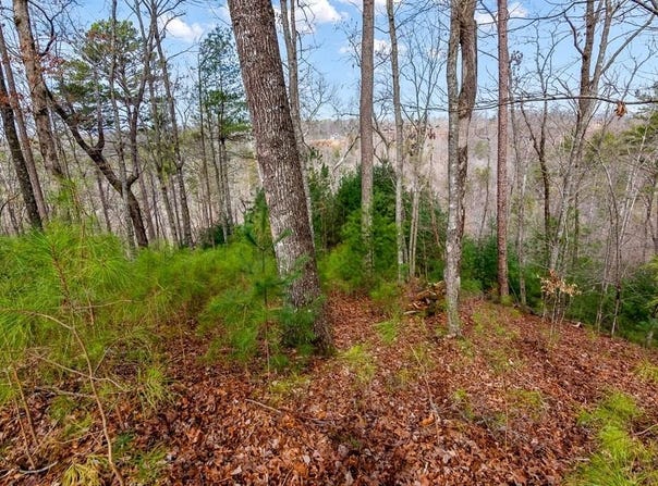 Ellijay, GA 30540