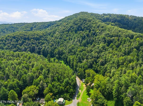 3910 Wilhite Rd, Sevierville, TN 37876